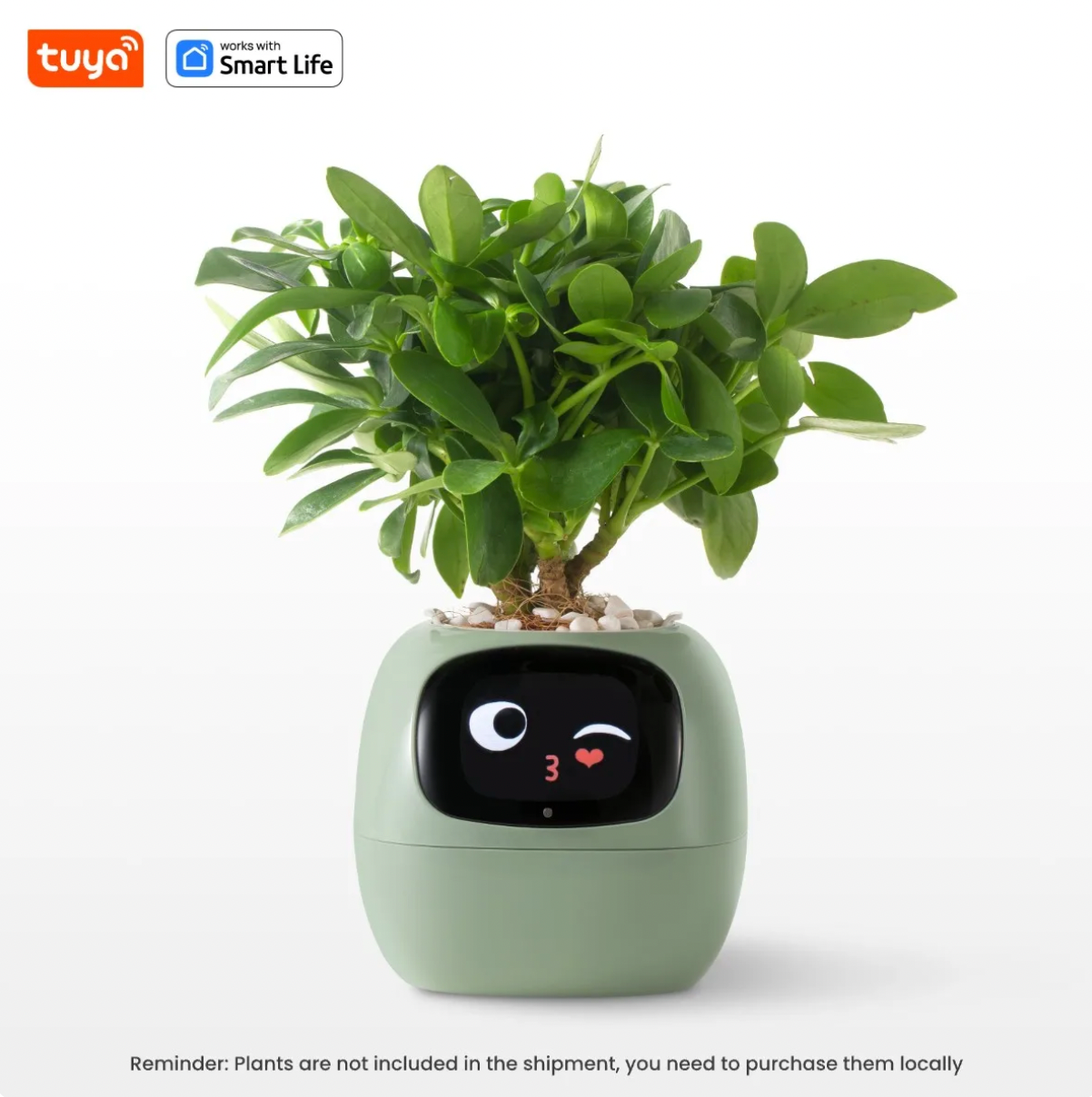 AI Smart Planter