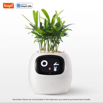 AI Smart Planter