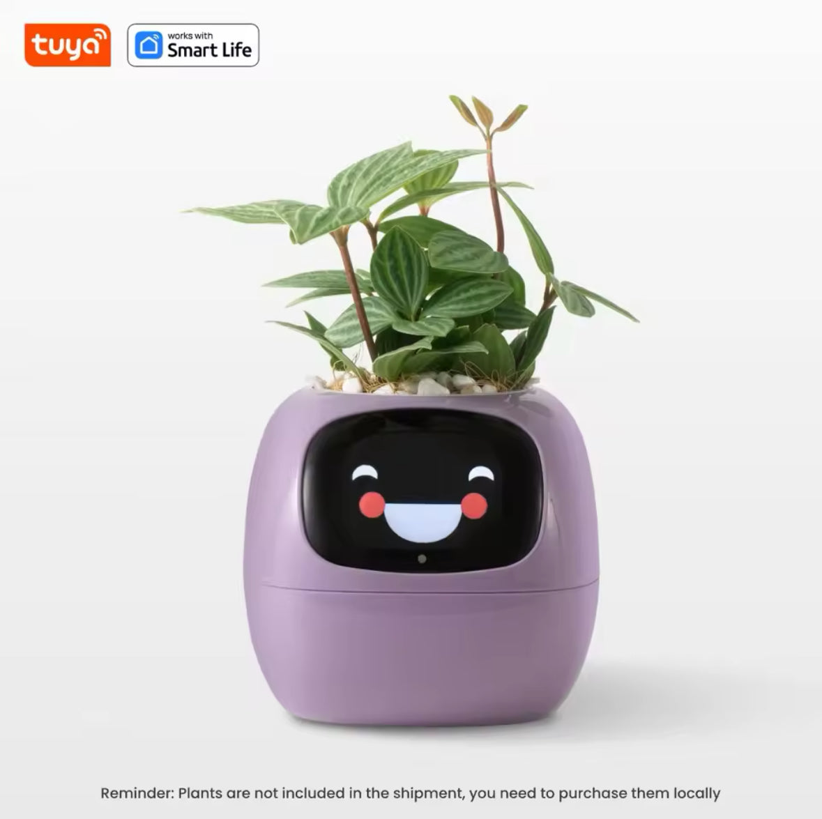 AI Smart Planter