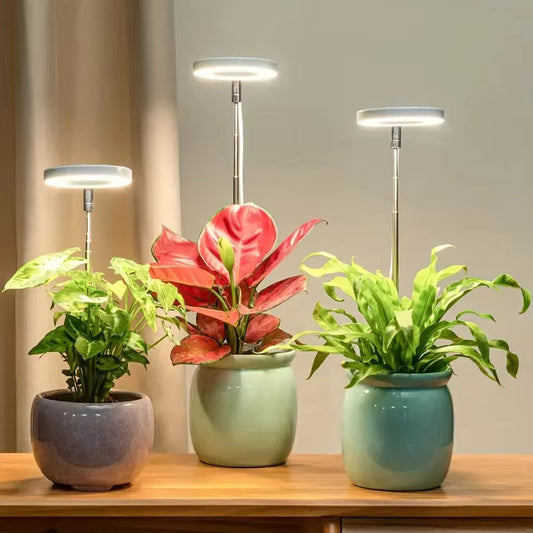 Plant Growth LED Light